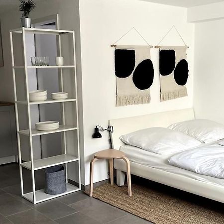 1-Zimmer-Apartment Am Bodensee อูเบอร์ลิงเงน ภายนอก รูปภาพ